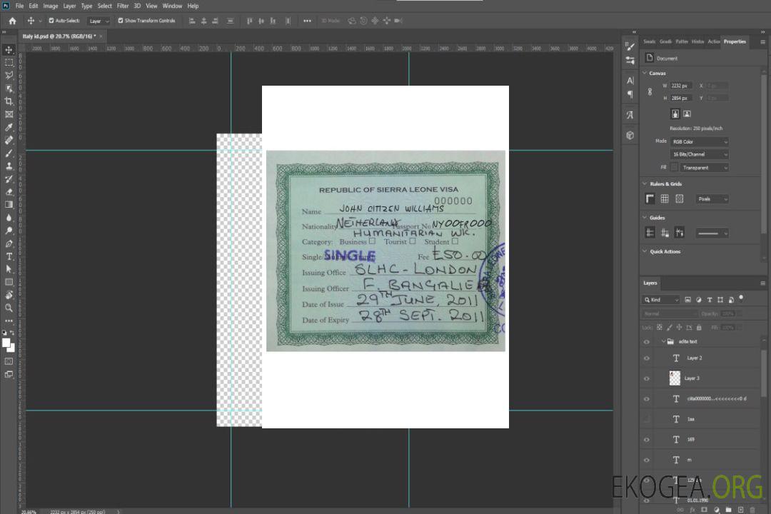 Visa SIERRA LEONE template